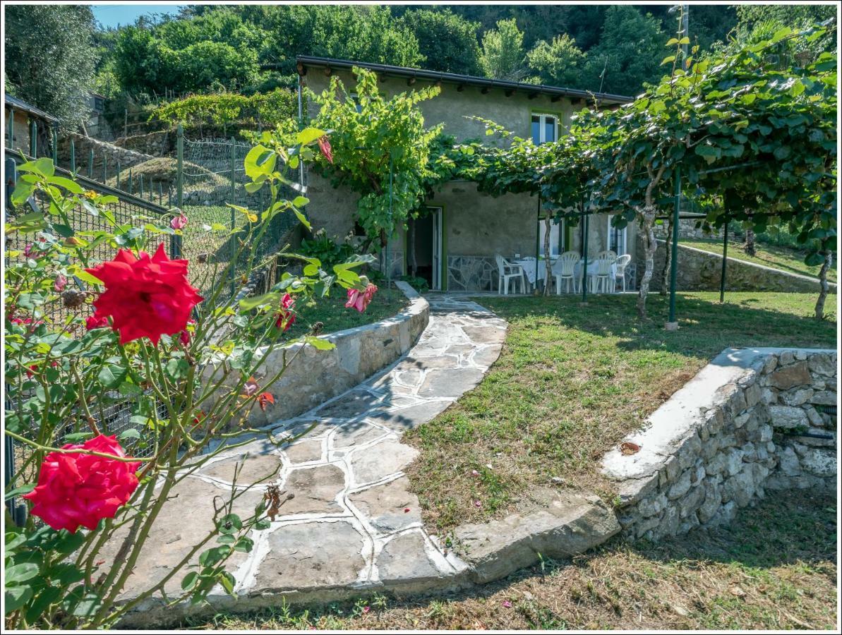 Apartamento Fantastica Casa Poppo Bellano Exterior foto